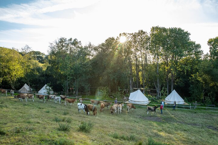 Surfing, Coasteering & Glamping in Cornwall - Photo 1 of 25